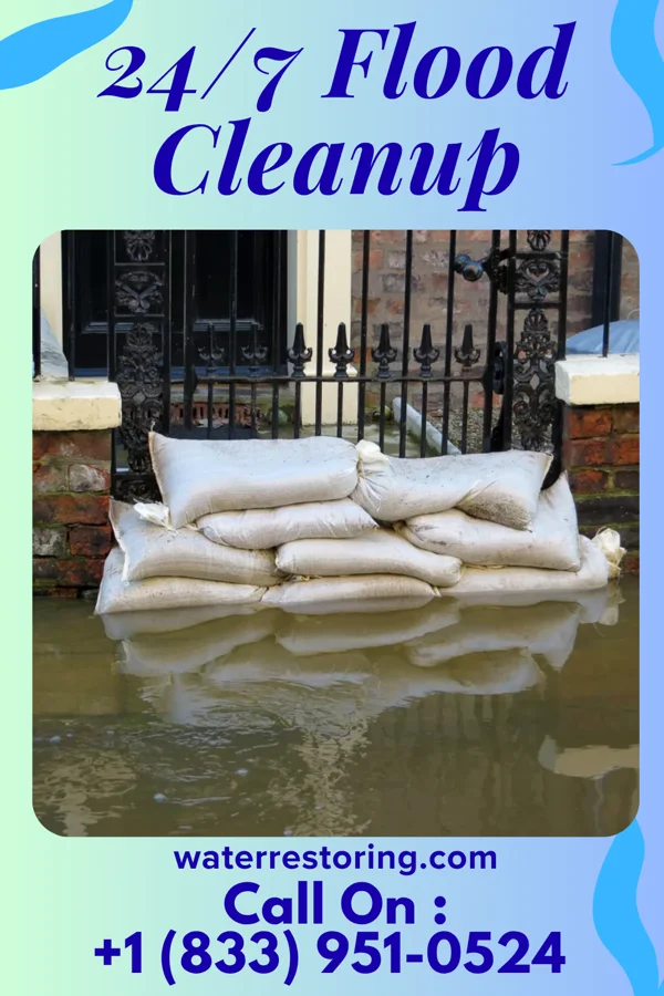 24/7 Flood Cleanup in Pinehurst, GA